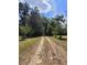 Scenic driveway surrounded by mature trees and natural landscape, leading to a private property at 13385 Ne 10Th Ct, Citra, FL 32113
