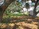 Spacious backyard with mature trees, and a view of the accessory buildings at 1675 Se 190Th Ave, Silver Springs, FL 34488