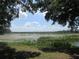 Scenic lake view framed by trees, showcasing the natural beauty of the surrounding landscape at 1675 Se 190Th Ave, Silver Springs, FL 34488