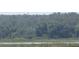 Peaceful view of a lush green landscape with a variety of trees at 1675 Se 190Th Ave, Silver Springs, FL 34488