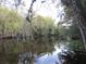 Reflective water view surrounded by lush trees, creating a peaceful and calming atmosphere at 1675 Se 190Th Ave, Silver Springs, FL 34488