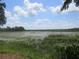 Expansive wetlands area filled with aquatic plants under a partly cloudy sky at 1675 Se 190Th Ave, Silver Springs, FL 34488