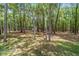 Large, wooded backyard provides a peaceful and private outdoor space for recreation and enjoying nature at 18328 Sw 73Rd Loop, Dunnellon, FL 34432