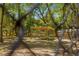A wooded backyard featuring a covered structure, with a fenced perimeter at 200 Se 145Th St, Summerfield, FL 34491