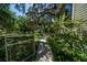 Side yard view leading to the lush backyard, mature trees, and ample space for outdoor activities at 20549 9Th St, Mc Intosh, FL 32664