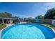 Refreshing backyard pool surrounded by landscaping for relaxing days in the sun at 7 Larch Dr, Ocala, FL 34480