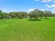 Aerial shot of expansive green grass pasture with perimeter fencing and mature trees at 402 Sw 127Th Pl, Ocala, FL 34473