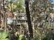 Home's backyard through the trees, blending privacy and nature at 4305 Sw 20Th Ave, Ocala, FL 34471