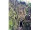 Backyard of property featuring a natural limestone sinkhole with a lush mossy landscape at 4305 Sw 20Th Ave, Ocala, FL 34471