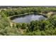 A scenic aerial view of a tranquil lake, set against a backdrop of lush greenery and homes at 361 Oak Lane Drive Dr, Ocala, FL 34472