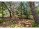 Expansive backyard with mature trees and a rustic wooden swing at 361 Oak Lane Drive Dr, Ocala, FL 34472