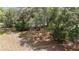 This yard is fully fenced in and ready to be enjoyed; beautiful trees offer shade at 361 Oak Lane Drive Dr, Ocala, FL 34472
