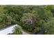 Aerial view of a property with mature trees, suggesting a peaceful and nature-filled environment at 3800 Ne 24Th Ct, Ocala, FL 34479