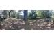 Large backyard with mature trees, offering a serene setting for outdoor activities and gatherings at 3800 Ne 24Th Ct, Ocala, FL 34479