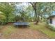Wide shot of the backyard of a home with green grass, large trees, and a trampoline at 3800 Ne 24Th Ct, Ocala, FL 34479