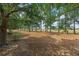 Tranquil backyard with mature trees offering plenty of shade and natural beauty at 1429 Sw 160Th Ln, Ocala, FL 34473