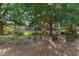 Backyard view showcasing a screened pool area surrounded by lush landscaping and mature trees at 1429 Sw 160Th Ln, Ocala, FL 34473