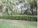 Landscaped backyard featuring lush foliage, a well-manicured hedge and mature trees at 231 Ne 28Th Ave # 207, Ocala, FL 34470