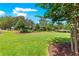 Expansive backyard featuring lush green grass and well-manicured landscaping at 9203 Sw 97Th Cir, Ocala, FL 34481