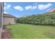 Expansive backyard featuring a lush green lawn and tall privacy hedges, perfect for outdoor activities and relaxation at 11062 Sw 73Rd Ct, Ocala, FL 34476