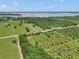 Stunning aerial view of a large property with lush trees and a distant lake at 12080 Se Sunset Harbor Rd, Weirsdale, FL 32195