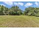 Lush grassy area with mature trees and a shed at 12080 Se Sunset Harbor Rd, Weirsdale, FL 32195