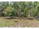 Expansive backyard featuring mature trees and natural landscape at 12080 Se Sunset Harbor Rd, Weirsdale, FL 32195