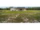 Large backyard featuring lush grass and a detached building offers ample space at 13663 Sw 66Th St, Ocala, FL 34481