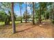 A view of the backyard, ideal for outdoor activities and enjoying nature at 19028 Sw 101 Pl, Dunnellon, FL 34432