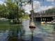 Enjoy swimming, tubing, and boating at Blue Run of Dunnellon Park, a cool spring-fed waterway at 19370 Saint Benedict Dr, Dunnellon, FL 34432