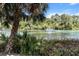 Scenic waterfront view showcasing clear water, lush greenery, and recreational activities at 19942 Sw 96Th Pl, Dunnellon, FL 34432