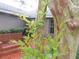 A close-up of a front yard with a wooden bench and crepe myrtle tree, leading to the home's entrance at 5083 Se 26Th St, Ocala, FL 34480