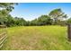 Expansive land with lush green grass and scattered trees, providing a serene and natural setting at 6350 Nw 135Th Ave, Morriston, FL 32668