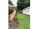 Lush side yard featuring vibrant greenery and providing a tranquil outdoor space at 7251 Sw 115Th Pl, Ocala, FL 34476