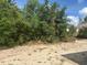 Vacant land ready for construction, featuring lush trees providing privacy and a natural setting at 7637 Sw 180Th Cir, Dunnellon, FL 34432