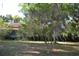 Expansive lawn with an orange tree and a view of the home's exterior at 1050 E Highway 329, Citra, FL 32113