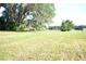 Home's expansive front yard showing greenery and open space. Home is in background at 1050 E Highway 329, Citra, FL 32113