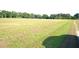 A grassy field bordered by mature trees offers endless possibilities for outdoor enjoyment at 1050 E Highway 329, Citra, FL 32113