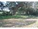 Wooded land with mature trees, offering shade and privacy for a serene building site at 1050 E Highway 329, Citra, FL 32113