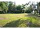 Expansive grassy field with mature trees in a serene, rural setting at 1050 E Highway 329, Citra, FL 32113
