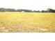 Scenic land featuring expansive grassy field, offering privacy and development possibilities at 1050 E Highway 329, Citra, FL 32113