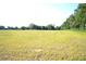 Spacious and serene land with lush green grass, perfect for building your future estate at 1050 E Highway 329, Citra, FL 32113