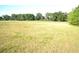 Beautiful land with green grass and mature trees, ideal for building a dream home at 1050 E Highway 329, Citra, FL 32113