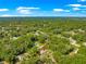 Expansive aerial perspective of a home nestled among mature trees, offering privacy and a serene, natural setting at 3445 Se 139Th Ln, Summerfield, FL 34491