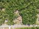 Aerial view of property shows the house surrounded by trees at 4467 Sw Channel Heights Ct, Dunnellon, FL 34431