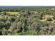 Lush green landscape and natural tree coverage surrounding this beautiful property at 4673 Se 115Th St, Belleview, FL 34420