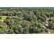 Scenic aerial view of a property surrounded by lush green trees, showcasing natural beauty at 4673 Se 115Th St, Belleview, FL 34420