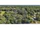 Aerial view of a property surrounded by dense trees, highlighted by a defined blue property line at 4673 Se 115Th St, Belleview, FL 34420