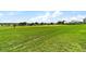 Lush green backyard providing an idyllic view of the golf course at 5007 Kelso St, Leesburg, FL 34748