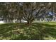 Serene backyard featuring mature trees draped with Spanish moss and a charming wooden swing at 5092 Ne 81St Blvd, Wildwood, FL 34785